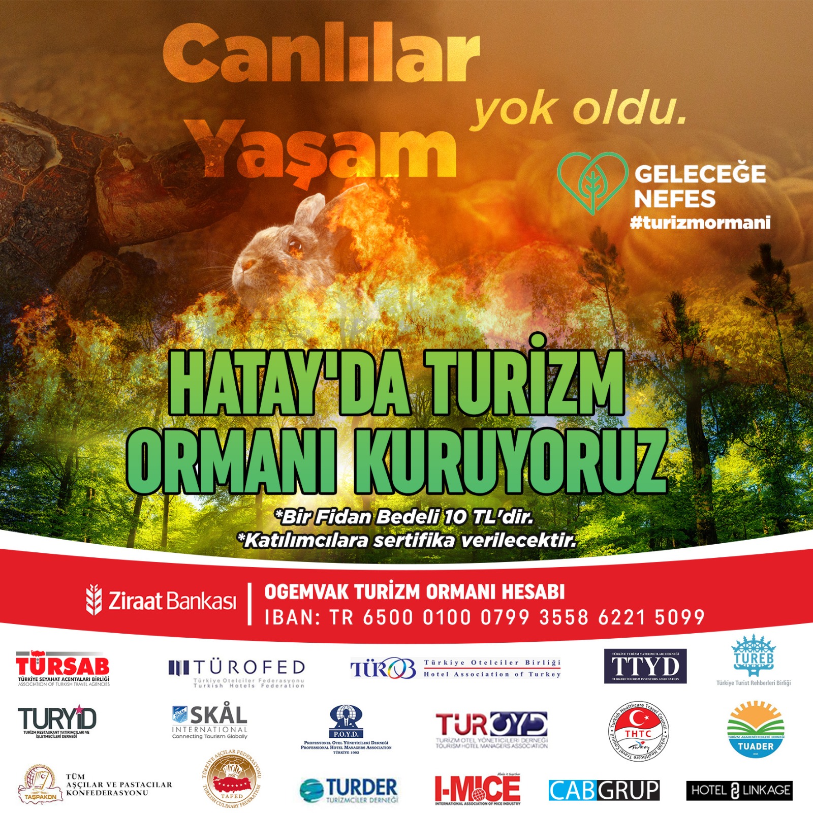 Hatay&#8217;da Turizm Ormanı Kuruyoruz.